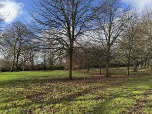 parkland- click for photo gallery